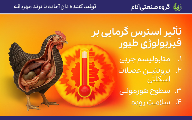 تأثیر استرس گرمایی بر فیزیولوژی طیور